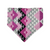 Zany Hearts/Pink Aztec Reversible Bandana (Medium)