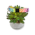 Rainbow Zebra Kitty Collar (XX-Small)