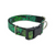 Green Succulent Dog Collar (Medium)