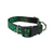 Green Succulents Dog collar (Small)