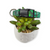 Green Succulents Dog collar (Small)