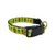 Can't Touch This Dog collar (Large)