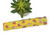 Watermelons on Yellow Dog Collar (X-Large)