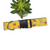 Watermelons on Yellow Dog Collar (X-Large)