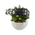 Daisies on Charcoal Dog Collar (Medium) Daisies on Charcoal Dog Collar (Medium)