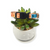Ditzy Floral Pumpkins Dog collar (X-Small)
