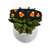 Candy Corn Polka Dots Dog Collar (Medium)