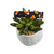 Candy Corn Polka Dots Dog Collar (Small)