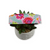 Untamed Flower field Dog Collar (Large)