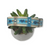 Puppy Picnic Dog Collar (Medium, 1" wide)