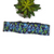 Preppy Bluebonnets on Navy Blue Dog collar (Large, 1.5" wide)