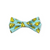 Swiss Cheese on Aqua Bowtie - 4"