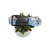 Bluebonnets at Big Bend (var #2) Dog Collar (Large)