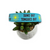 Suns Out on Aqua Dog Collar (Large)