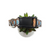 Saddle Up Dog Collar (Large)