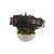 Favorite Child Dog Collar (X-Large, 1" wide)