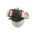 Blush Mint For You Dog Collar (Large)