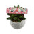 Blush Mint For You Dog Collar (Medium)