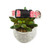 Blush Mint For You Dog collar (Small)