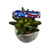 Star Spangled Dog Collar (Small)