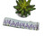Lavender Fields (Light Blue) Dog Collar (Large, 1.5" wide)