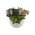 Peach Tree on Black Dog Collar (Medium)
