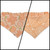 Peach Fuzz in Nature/Peach Floral Paisley Reversible Slip-on Scrunchie Bandana (X-Small)