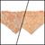 Peach Fuzz in Nature/Peach Floral Paisley Reversible Slip-on Scrunchie Bandana (Small)