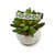 Green Aztec Dog collar (XX-Small)