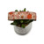 Daisy Pumpkins Dog Collar (Large)