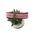 I'm Dreaming of a Sweet Christmas Dog Collar (Large)