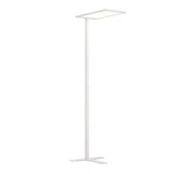 ofinto Stehlampe Lumino Weiss Seitenansicht - LED-Standleuchte mit schwenkbarem Leuchtpanel und elegantem T-Standfuss, minimalistische Bürobeleuchtung mit schlankem Design für ergonomisches Arbeiten