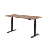 ofinto Elevate elektrisch höhenverstellbarer Schreibtisch - schwarze Tischbeine mit Walnuss-Holzplatte, Kabelmanagement-System Memory-Display und zwei leisen Motoren
