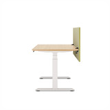 ofinto Akustik-Trennwand grün 160cm x 60cm montiert am höhenverstellbaren Schreibtisch Elevate - Seitenansicht Anwendungsbeispiel Büro-Setup