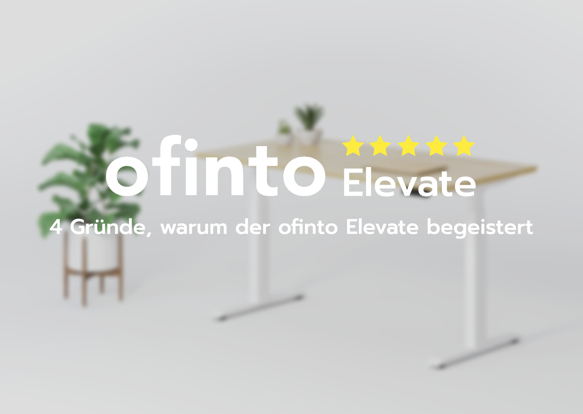 Der beste verstellbare Bürotisch: 4 Gründe, warum der ofinto Elevate unsere Kunden begeistert