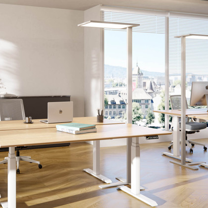 Lampadaire Lumino blanc ofinto dans un bureau moderne - Lampe de bureau LED avec grand panneau lumineux au-dessus d'un bureau réglable en hauteur Elevate, éclairage ergonomique du poste de travail dans un bureau lumineux avec parquet et fenêtre panoramique