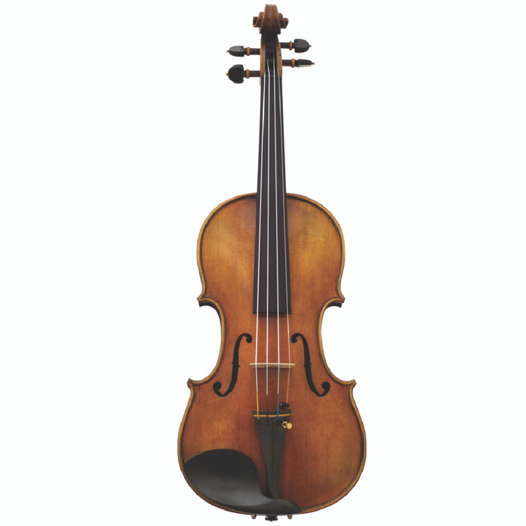 Burled Maple Violin Front