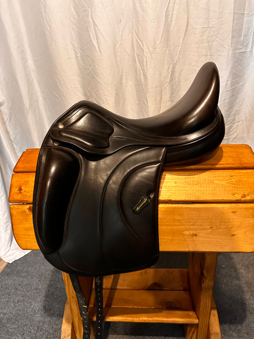 AMERIGO CERIVA DRESSAGE