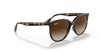 RB4378