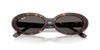 RB2223F