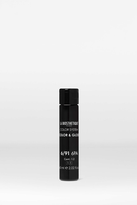 Color & Gloss 6/91 6PA BOX