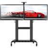 Mobile Tv stand dual screen