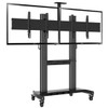 Mobile Tv stand dual screen