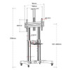 TV Floor Stand
