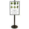 Black A1 Poster Stand with Eco Frame - Single Sided