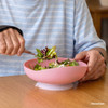 SectorCare 700mL Scoop Bowl with Suction Base 18cm Wide Pink