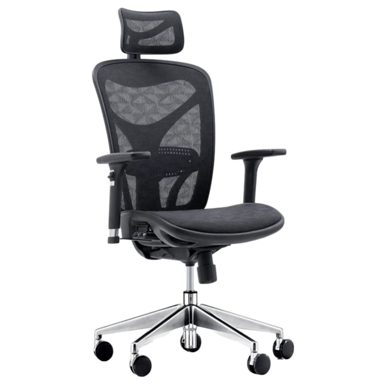 ErgoDC Ergonomic Office Chair High Back Mesh