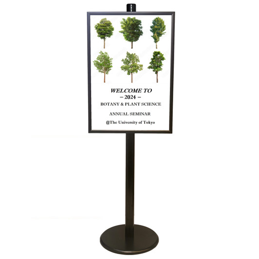 Black A1 Poster Stand with Eco Frame – Double Sided 