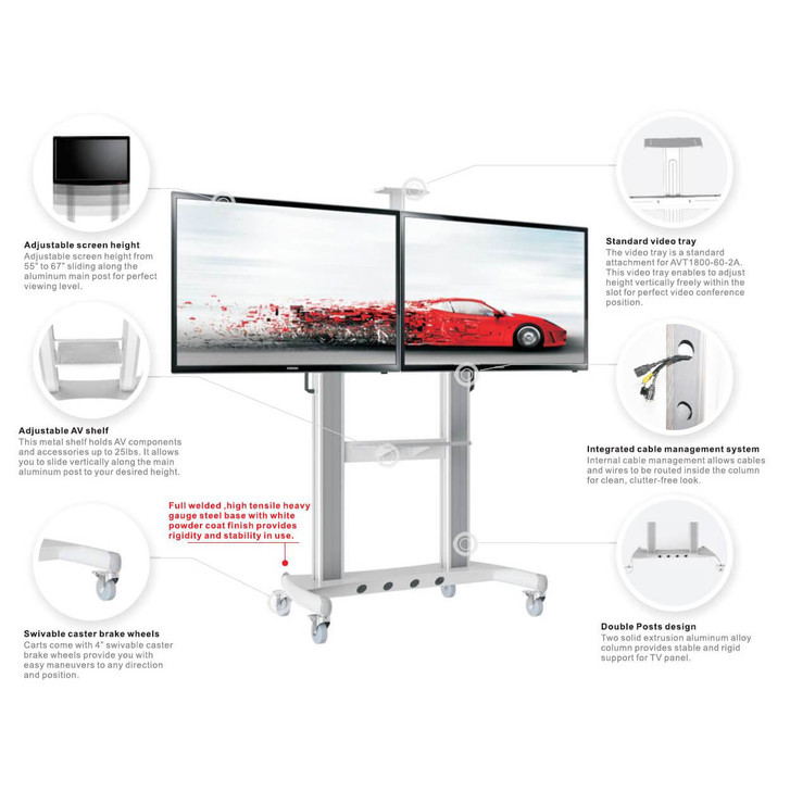 Mobile Tv stand dual screen