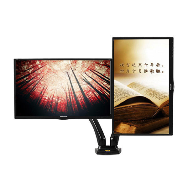 Dual Monitor Mount Desktop